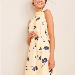 Ann Taylor Floral Dress